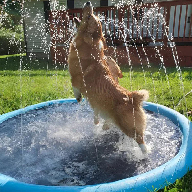 Hundsome Plask™ - Hunde Svømmepøl